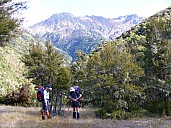 Ag P 1010114
; '2006 Apr 21 10:57'
Original size: 2,304 x 1,728; 1,071 kB
agP1010114.jpeg