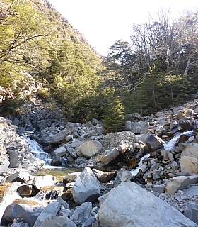 Fork in upper Gosling Stream
Photographer;&nbsp;Simon
2015-10-03&nbsp;16.09.54;&nbsp;Metadata time: '2015 Oct 03 16:09'
Original size:&nbsp;4,421 x 5,048; 22,913 kB;&nbsp;stitch
Filename: 2015-10-03 16.09.54 Panorama Simon - fork in upper Gosling Stream_stitch.jpg