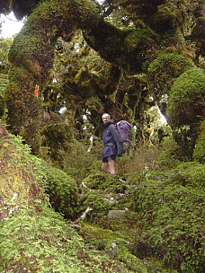 13  20 13-pc-Typical Bush  2
2007-09-01;&nbsp;Metadata time: '2007 Sept 01 13:20'
Original size:&nbsp;960 x 1,280; 1,134 kB
Filename: 2007-09-01 13.20.13-pc-Typical Bush 2.jpeg