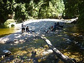 Ryan Creak
Photo: Simon
2011-01-26 11.30.41; '2011 Jan 26 11:30'
Original size: 4,000 x 3,000; 7,416 kB
2011-01-26 11.30.41 P1020026 Simon Ryan Creak.jpeg