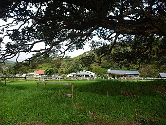 Motairehe
Photographer;&nbsp;Simon
2012-12-30&nbsp;17.44.23;&nbsp;Metadata time: '2012 Dec 30 17:44'
Original size:&nbsp;4,000 x 3,000; 7,416 kB
Filename: 2012-12-30 17.44.23 P1040534 Simon - Motairehe.jpeg