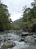 Hope and Tutaekuri rivers
Looking back up Tutaekuri River
Photo: Philip
2013-04-22 14.13.10; '2013 Apr 22 14:13'
Original size: 3,240 x 4,320; 5,046 kB
2013-04-22 14.13.10 P1020071 Philip - Looking back up Tutaekuri River.jpeg