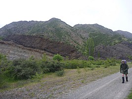 Quail Flat