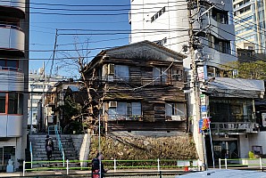 Minato hold out against development
Photographer;&nbsp;Jim
2015-02-19&nbsp;09.01.21;&nbsp;Metadata time: '2015 Feb 19 09:01'
Original size:&nbsp;4,091 x 2,749; 4,420 kB;&nbsp;cr
Filename: 2015-02-19 09.01.21 Jim - Minato hold out against development_cr.jpeg