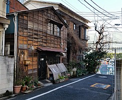 Minato hold out against development
Photographer;&nbsp;Jim
2015-02-19&nbsp;09.04.08;&nbsp;Metadata time: '2015 Feb 19 09:04'
Original size:&nbsp;3,644 x 2,988; 3,805 kB;&nbsp;cr
Filename: 2015-02-19 09.04.08 Jim - Minato hold out against development_cr.jpeg