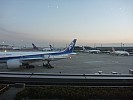 2015-02-20 17.25.54 P1010798 Simon - view of planes on Narita apron.jpeg: 4000x3000, 3875k (2015 Aug 13 20:36)