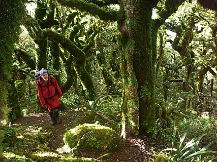 Bruce in mossy trees
Photographer;&nbsp;Simon
2015-05-31&nbsp;10.01.32;&nbsp;Metadata time: '2015 May 31 10:01'
Original size:&nbsp;4,000 x 3,000; 7,369 kB;&nbsp;adj
Filename: 2015-05-31 10.01.32 P1010947 Simon - Bruce in mossy trees_adj.jpeg