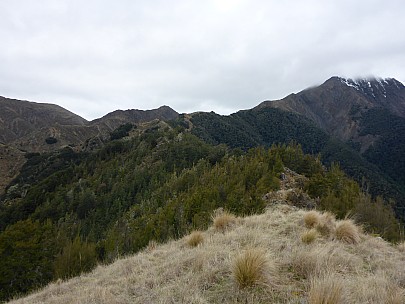 2015-10-02 11.04.00 P1000194 Simon - view along top of spur to ridge.jpeg: 4608x3456, 6140k (2015 Nov 06 16:12)