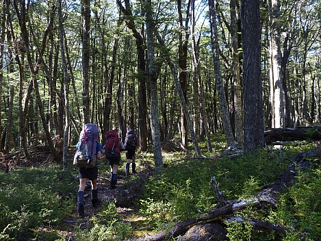 2016-01-06 09.22.08 P1040092 Philip - heading through Beech forest up from Maitland Hut.jpeg: 4320x3240, 5828k (2016 Jan 06 09:22) 2016-01-06 09.22.08 P1040092 Philip - heading through Beech forest up from Maitland Hut.jpeg: 4320x3240, 5828k (2016 Jan 06 09:22)