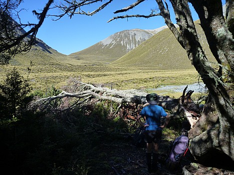 2016-01-06 09.50.44 P1040094 Philip - view from the bush edge up the Maitland.jpeg: 4320x3240, 5712k (2016 Jan 06 09:50) 2016-01-06 09.50.44 P1040094 Philip - view from the bush edge up the Maitland.jpeg: 4320x3240, 5712k (2016 Jan 06 09:50)