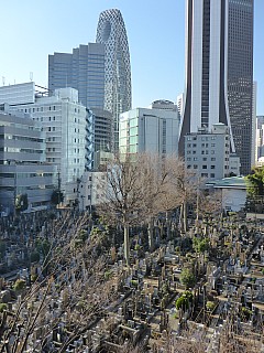 Cemetery
Photographer;&nbsp;Simon
2016-03-03&nbsp;08.34.30;&nbsp;Metadata time: '2016 Mar 03 08:34'
Original size:&nbsp;3,456 x 4,608; 5,327 kB
Filename: 2016-03-03 08.34.30 P1000849 Simon - cemetery P2.jpeg
