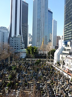 Cemetery
Photographer;&nbsp;Simon
2016-03-03&nbsp;08.35.03;&nbsp;Metadata time: '2016 Mar 03 08:35'
Original size:&nbsp;3,456 x 4,608; 5,491 kB
Filename: 2016-03-03 08.35.03 P1000850 Simon - cemetery P3.jpeg
