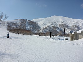 Skiing Niseko
