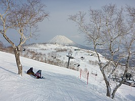 Skiing Niseko
