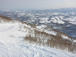 Skiing Niseko