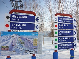 Skiing Niseko