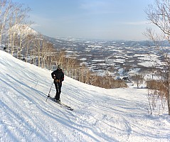 Skiing Niseko