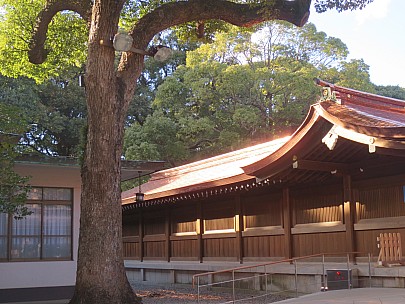 2017-01-12 14.58.59 IMG_8364 Anne - Meiji Shrine building.jpeg: 4608x3456, 6341k (2017 Jan 26 18:34)