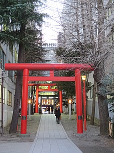 2017-01-12 16.48.10 IMG_8395 Anne - Hanazono Shrine red Torii.jpeg: 3456x4608, 7013k (2017 Jan 26 18:34)