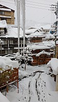Nozawa Onsen, Jigokudani Nozawa Onsen, Jigokudani