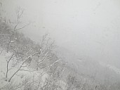 View From Gondala
Photographer;&nbsp;Anne
2017-01-16&nbsp;12.59.53;&nbsp;Metadata time: '2017 Jan 16 12:59'
Original size:&nbsp;4,608 x 3,456; 3,890 kB
Filename: 2017-01-16 12.59.53 IMG_8635 Anne - view from gondala.jpeg