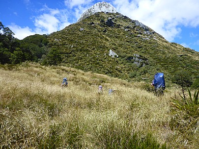 2019-01-14 14.58.26 P1020413 Simon - The Buttress overlooking Paringa Rock Biv clearing.jpeg: 4608x3456, 5946k (2019 Jun 20 21:11)