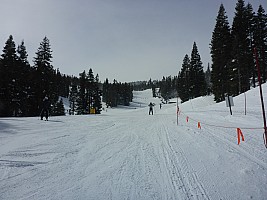 Northstar Northstar