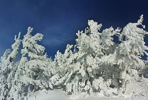 Snow in trees
Photographer;&nbsp;Simon
2019-03-04&nbsp;16.08.43;&nbsp;Metadata time: '2019 Mar 04 16:08'
Original size:&nbsp;7,462 x 5,044; 30,187 kB;&nbsp;stitch
Filename: 2019-03-04 16.08.43 Panorama Simon - Snow in trees_stitch.jpg