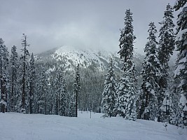 Sierra