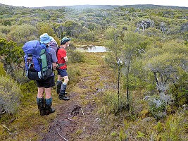 Mason Bay to Doughboy Bay