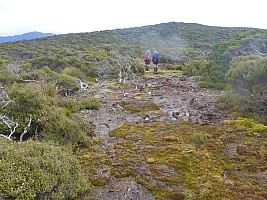 Mason Bay to Doughboy Bay
