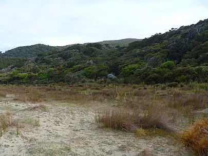 Doughboy Bay hut from the beach
Photo: Jim
2019-11-11 08.00.51; '2019 Nov 11 08:00'
Original size: 4,320 x 3,240; 5,018 kB
2019-11-11 08.00.51 P1000729 Jim - Doughboy Bay hut from the beach.jpeg