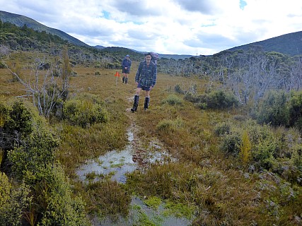 Jim and Brian on boggy track
Photographer;&nbsp;Simon
2019-11-11&nbsp;16.00.32;&nbsp;Metadata time: '2019 Nov 11 16:00'
Original size:&nbsp;4,608 x 3,456; 5,519 kB
Filename: 2019-11-11 16.00.32 P1020952 Simon - Jim and Brian on boggy track.jpeg
