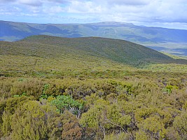 Mt Rakeahua