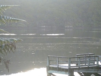 Bottlenose dolphins
Photo:&nbsp;Jim
2019-11-14&nbsp;07.14.47;&nbsp;'2019 Nov 14 07:14'
Original size:&nbsp;4,320 x 3,240; 4,501 kB
2019-11-14 07.14.47 P1000767 Jim - Bottlenose dolphins.jpeg