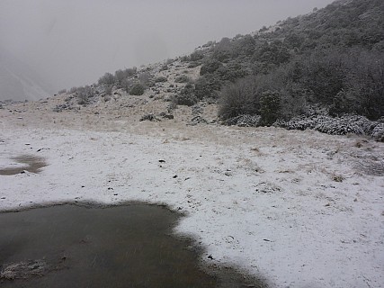   Snowing at Mistake Flats Hut
Photo: Simon
Size: 4,608 x 3,456; 6,287 kB  