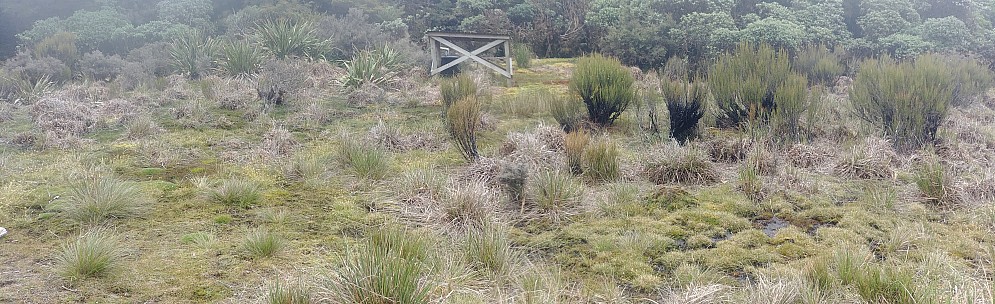 Oriwa Lake Hollow water collector
Photo:&nbsp;Simon
2021-01-22&nbsp;18.14.40;&nbsp;'2021 Jan 22 18:14'
Original size:&nbsp;6,441 x 1,968; 15,534 kB;&nbsp;stitch
2021-01-22 18.14.40 GS8 Simon - Oriwa Lake Hollow water collector_stitch.jpg