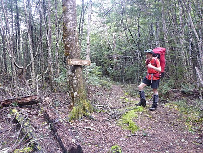 Brian at Gabriel's Saddle
Photographer;&nbsp;Simon
2021-09-18&nbsp;16.46.22;&nbsp;Metadata time: '2021 Sept 18 16:46'
Original size:&nbsp;4,608 x 3,456; 6,392 kB
Filename: 2021-09-18 16.46.22 P1030583 Simon - Brian at Gabriel's Saddle.jpeg