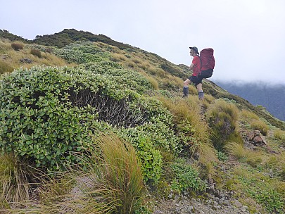 Brian on Neill
Photo: Simon
2021-12-10 13.56.54; '2021 Dec 10 13:56'
Original size: 4,608 x 3,456; 6,412 kB
2021-12-10 13.56.54 P1030691 Simon - Brian on Neill.jpeg