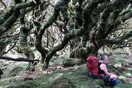 Simon resting under a mossy tree
Photo: Brian
2021-12-10 15.28.05; '2021 Dec 10 15:28'
Original size: 5,472 x 3,648; 13,362 kB
2021-12-10 15.28.05 IMG_0150 Brian - Simon resting under a mossy tree.jpeg