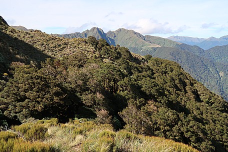 View Back To Ridge And Sign
Photographer;&nbsp;Brian
2021-12-10&nbsp;17.15.19;&nbsp;Metadata time: '2021 Dec 10 17:15'
Original size:&nbsp;5,472 x 3,648; 11,836 kB
Filename: 2021-12-10 17.15.19 IMG_0159 Brian - view back to ridge and sign.jpeg