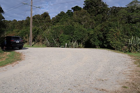 Mananui Bush Car park
Photographer;&nbsp;Brian
2022-03-06&nbsp;09.33.39;&nbsp;Metadata time: '2022 Mar 06 09:33'
Original size:&nbsp;5,472 x 3,648; 11,324 kB
Filename: 2022-03-06 09.33.39 IMG_0287 Brian - Mananui Bush Car park.jpeg
