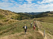 Walking to Rimu
Photo: Peter Baxter
2022-04-16 10.43.02
Original size: 4,000 x 3,000; 8,769 kB
2022-04-16 10.43.02 P4160002-1 Peter Baxter - walking to Rimu.jpeg
