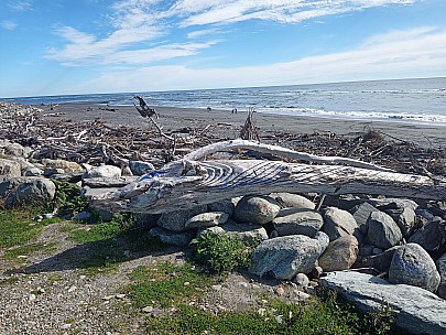 Hokitika beach driftwood
Photo: Philip
2023-04-15 13.43.46; '2023 Apr 15 13:43'
Original size: 8,000 x 6,000; 15,206 kB
2023-04-15 13.43.46 Philip - Hokitika beach driftwood.jpeg