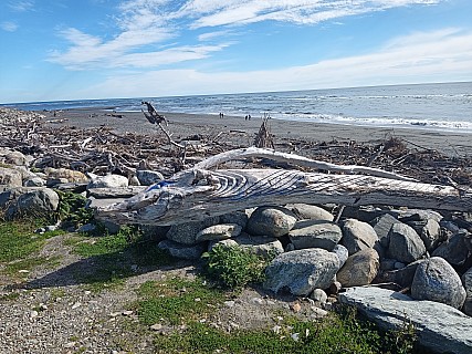Hokitika beach driftwood
Photographer;&nbsp;Philip
2023-04-15&nbsp;13.43.46;&nbsp;Metadata time: '2023 Apr 15 13:43'
Original size:&nbsp;8,000 x 6,000; 15,206 kB
Filename: 2023-04-15 13.43.46 Philip - Hokitika beach driftwood.jpeg