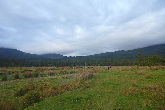 Simon and Brian following the Waitaha River route
Photo: Philip
2023-04-20 17.13.56; '2023 Apr 20 17:13'
Original size: 4,320 x 2,880; 5,038 kB
2023-04-20 17.13.56 P1070162 Philip - Simon and Brian following the Waitaha River route.jpeg Simon and Brian following the Waitaha River route
Photo: Philip
2023-04-20 17.13.56; '2023 Apr 20 17:13'
Original size: 4,320 x 2,880; 5,038 kB
2023-04-20 17.13.56 P1070162 Philip - Simon and Brian following the Waitaha River route.jpeg