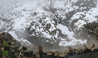 Prince Hotel East Wing to Hotel Alpenburg; visit to the Jigokudani Snow Monkeys
Snow Monkey Onsen and Yokoyu river
Photographer;&nbsp;Adrian
2024-03-06&nbsp;12.48.30;&nbsp;Metadata time: '2024 Mar 06 12:48'
Original size:&nbsp;15,244 x 9,047; 14,750 kB;&nbsp;stitch
Filename: 2024-03-06 12.48.30 S20+ Adrian - Snow Monkey Onsen and Yokoyu river_stitch.jpg