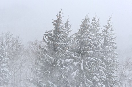 View Of Blizzard From Our Window
Photographer;&nbsp;Simon
2024-03-13&nbsp;08.39.10;&nbsp;Metadata time: '2024 Mar 13 08:39'
Original size:&nbsp;9,248 x 6,126; 9,448 kB;&nbsp;cr
Filename: 2024-03-13 08.39.10 S20+ Simon - view of blizzard from our window_cr.jpg