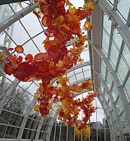 Chihuly Garden Glasshouse sculpture
Photographer;&nbsp;Nick
2025-03-02&nbsp;13.22.48;&nbsp;Metadata time: '2025 Mar 02 13:22'
Original size:&nbsp;3,456 x 3,737; 6,225 kB;&nbsp;cr
Filename: 2025-03-02 13.22.48 Nick - Chihuly Garden Glasshouse sculpture_cr.jpg