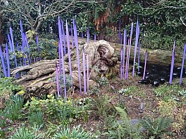 Chihuly Neodymium Reeds on Burned Log
Photographer;&nbsp;Nick
2025-03-02&nbsp;13.50.32;&nbsp;Metadata time: '2025 Mar 02 13:50'
Original size:&nbsp;4,608 x 3,456; 9,859 kB
Filename: 2025-03-02 13.50.32 Nick - Chihuly Neodymium Reeds on Burned Log.jpeg